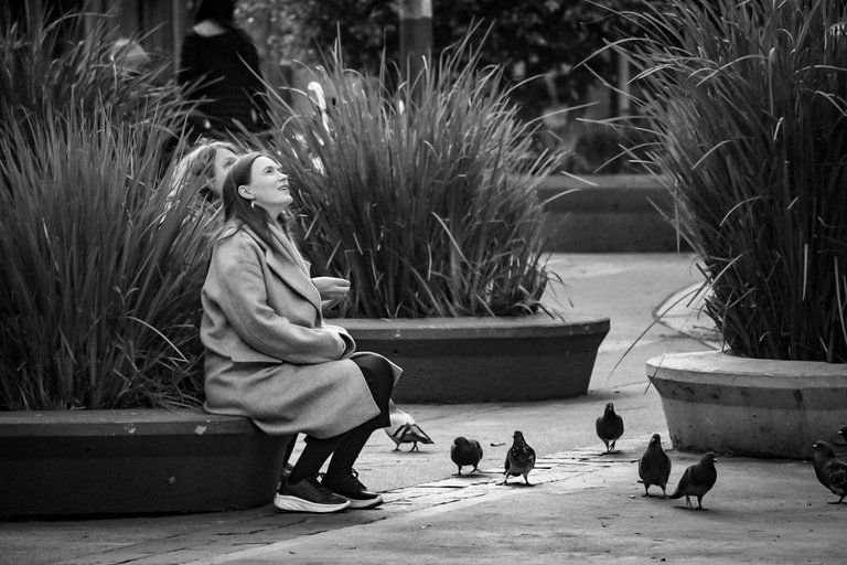 DSC_0038 (2) (1).jpg
