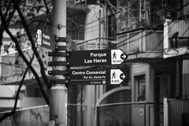 DSC_0175 (1).jpg
