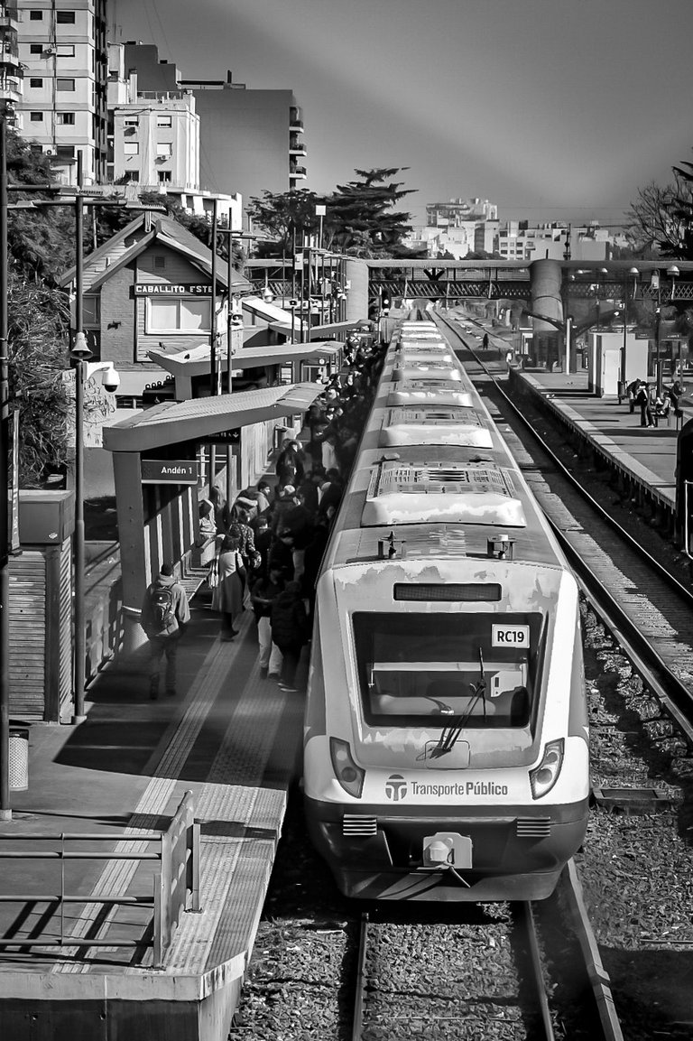 DSC_0527 (1).jpg