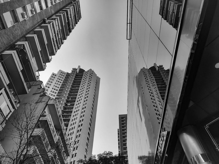 IMG_20250509_150325178_HDR (1).jpg