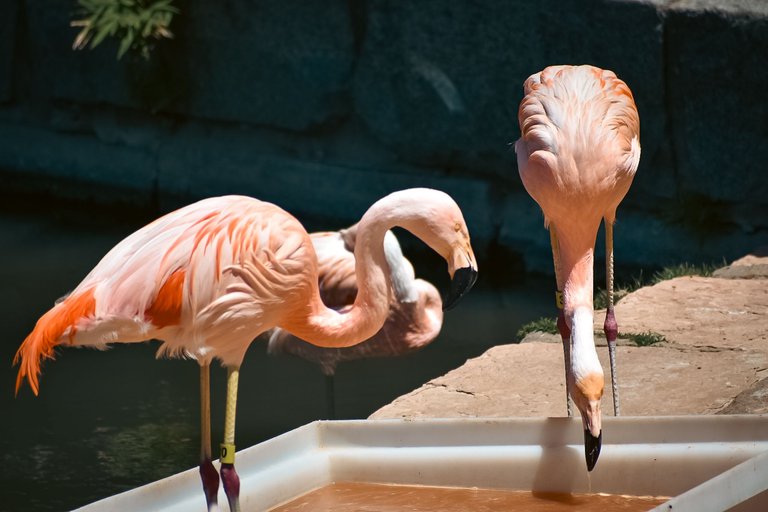 DSC_0776.jpg