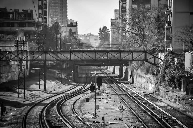 DSC_0515 (1).jpg