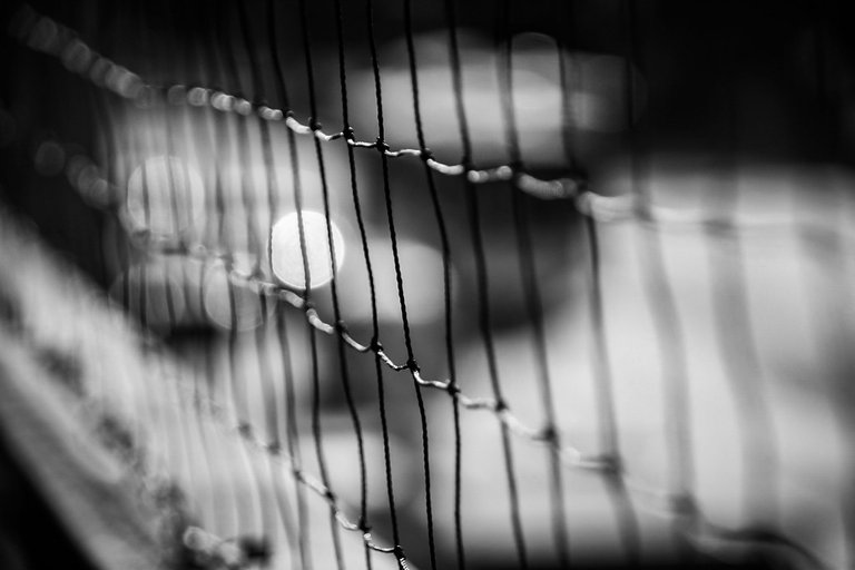 DSC_0442 (1).jpg