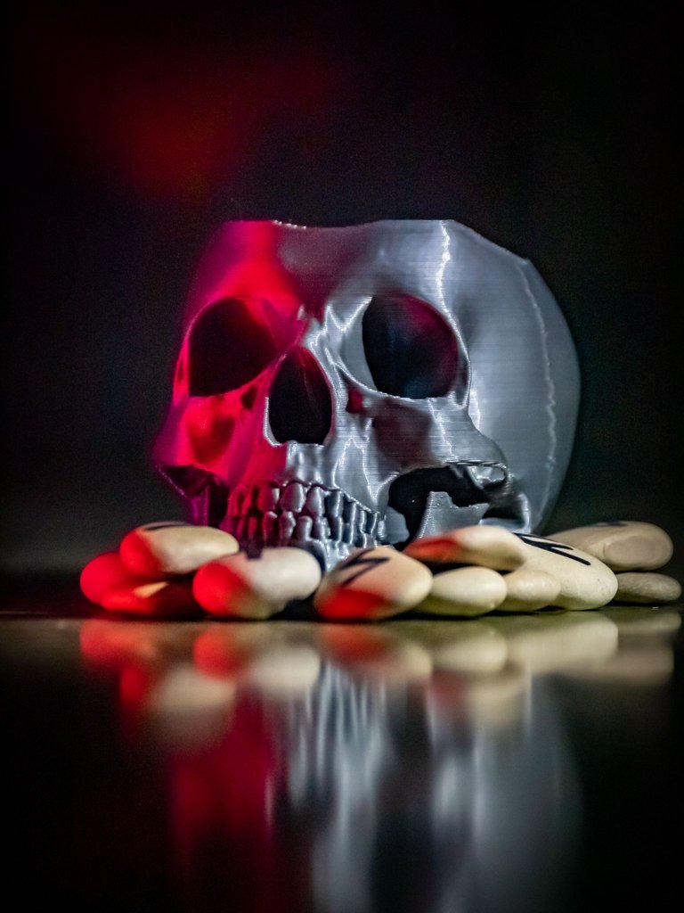 DSC_0088.jpg