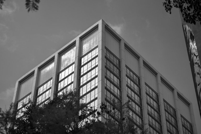DSC_0923.jpg