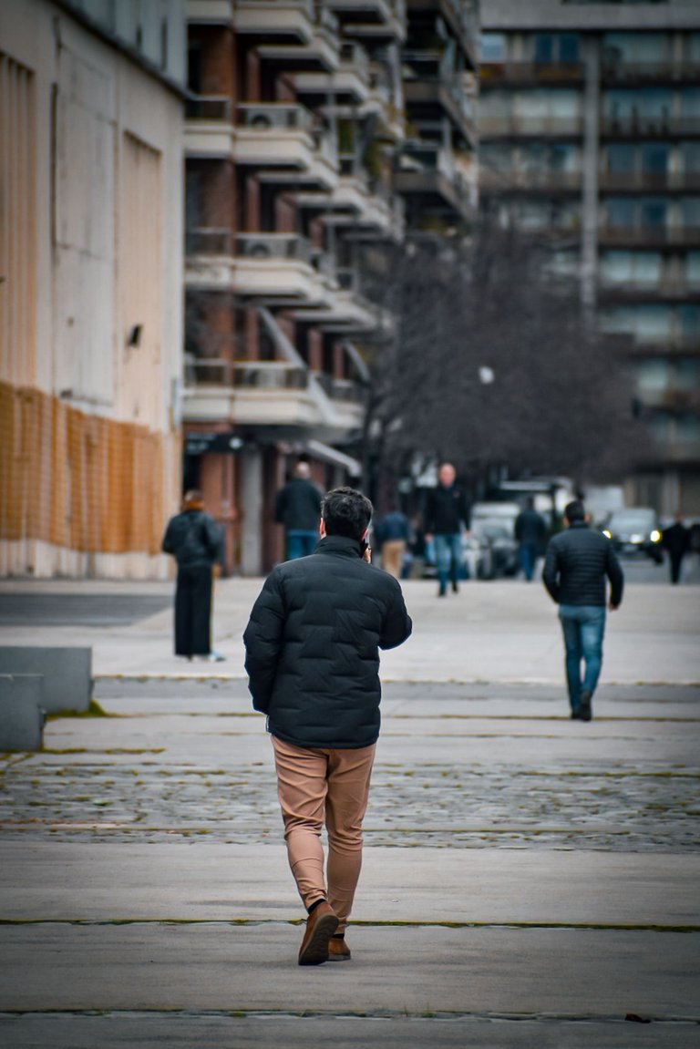 DSC_0169.jpg