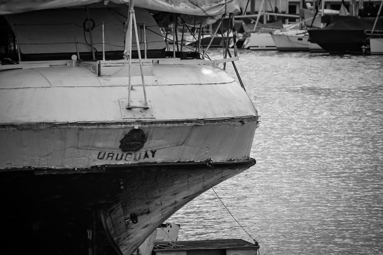 DSC_0094 (1) (1).jpg