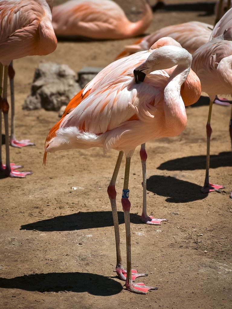 DSC_0765.jpg