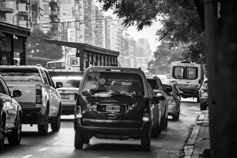 DSC_0466 (1).jpg