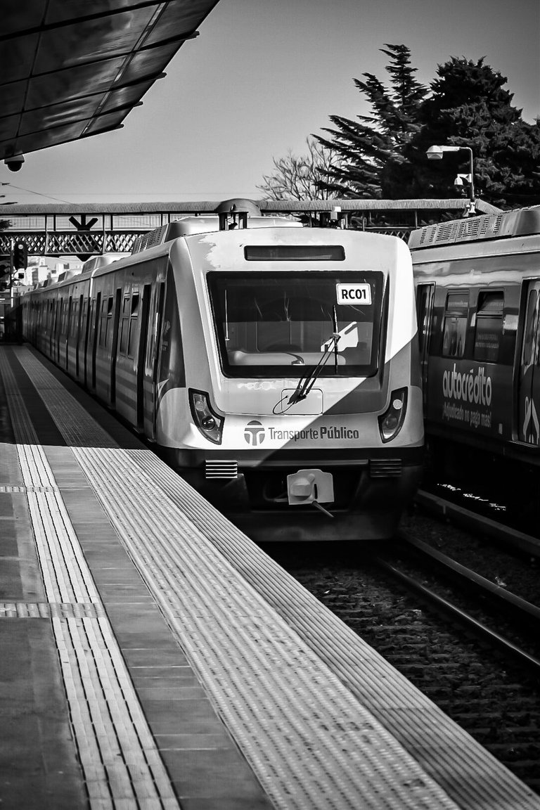 DSC_0502 (1).jpg