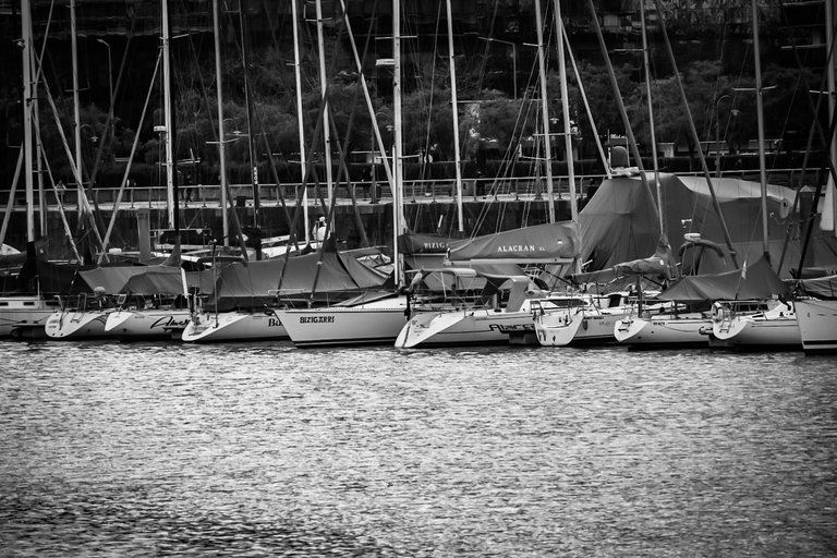 DSC_0095 (1).jpg
