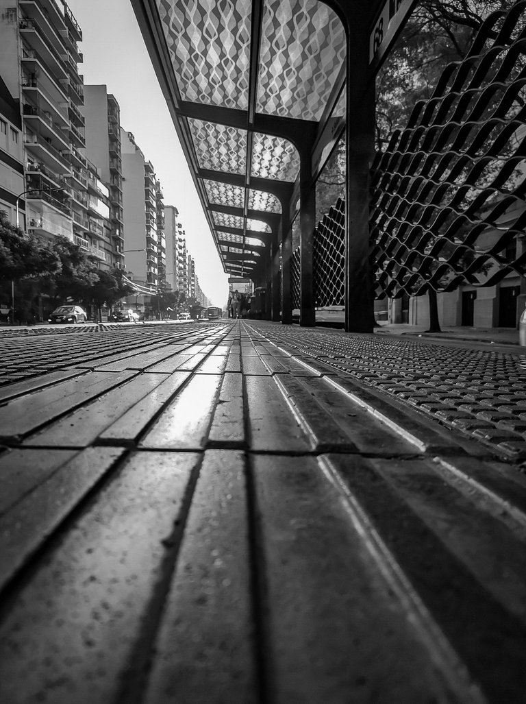 IMG_20250609_165549764_HDR (1).jpg