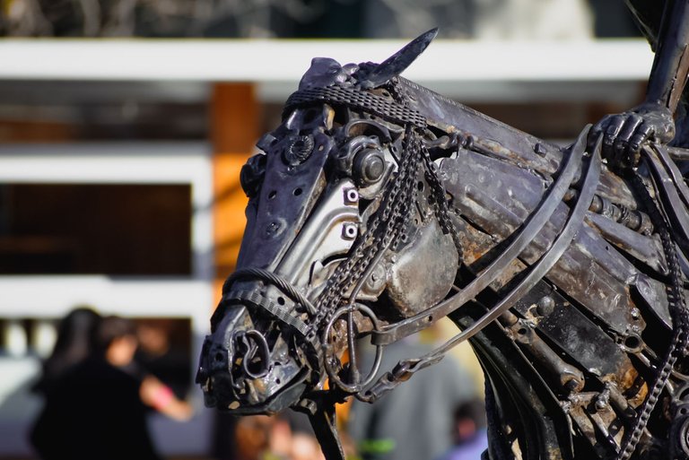 My Son is Learning Photography at the Polo Field. 