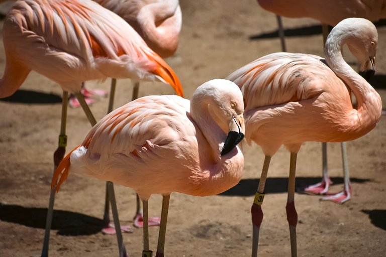 DSC_0769.jpg