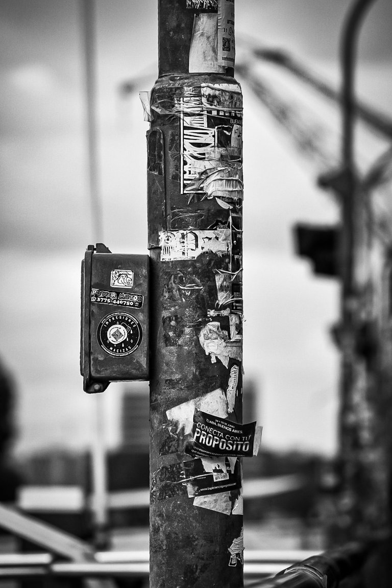 DSC_0131 (3) (1).jpg
