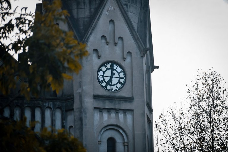 DSC_0035.jpg