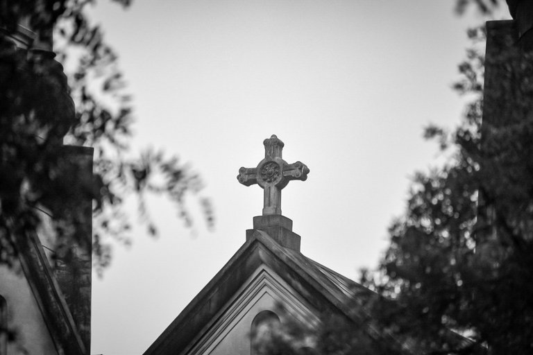 DSC_0165 (1).jpg