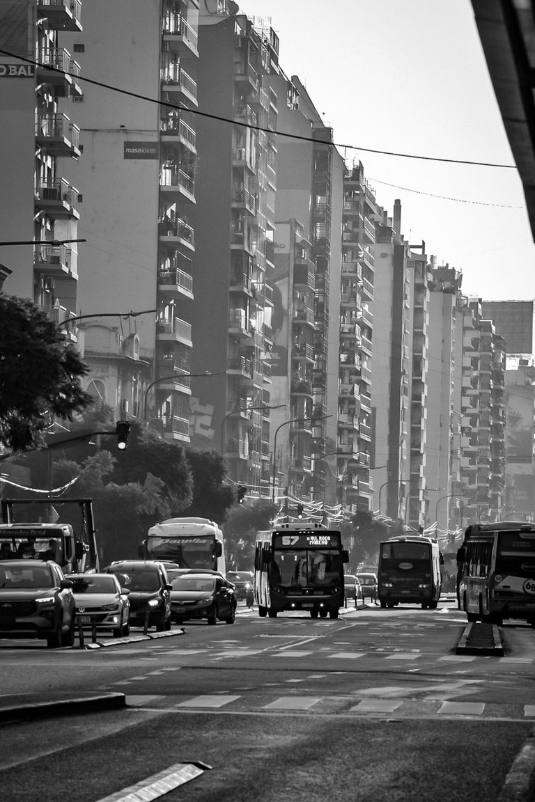 DSC_0469 (1).jpg
