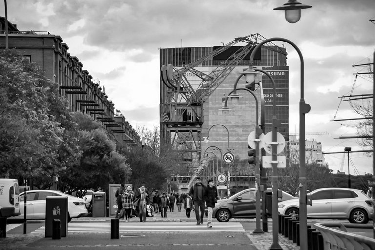 DSC_0232 (1).jpg