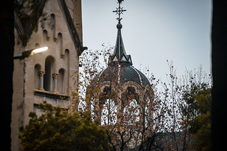 DSC_0163.jpg