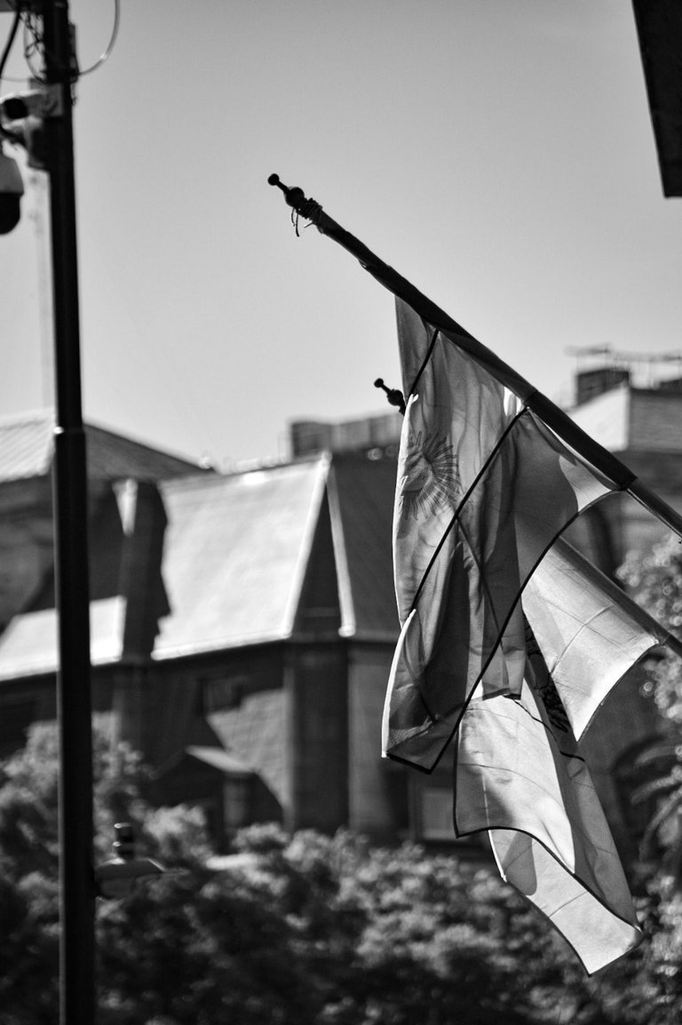 DSC_0406.jpg