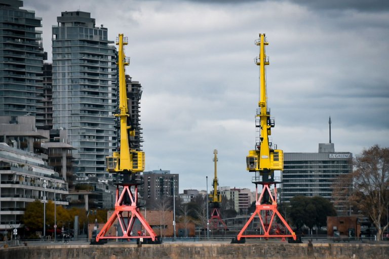 DSC_0205.jpg