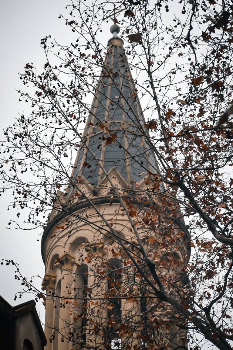 DSC_0180.jpg