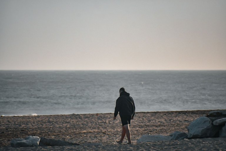 DSC_0346.jpg