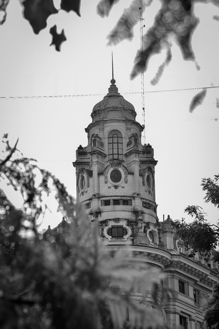 DSC_0509.jpg