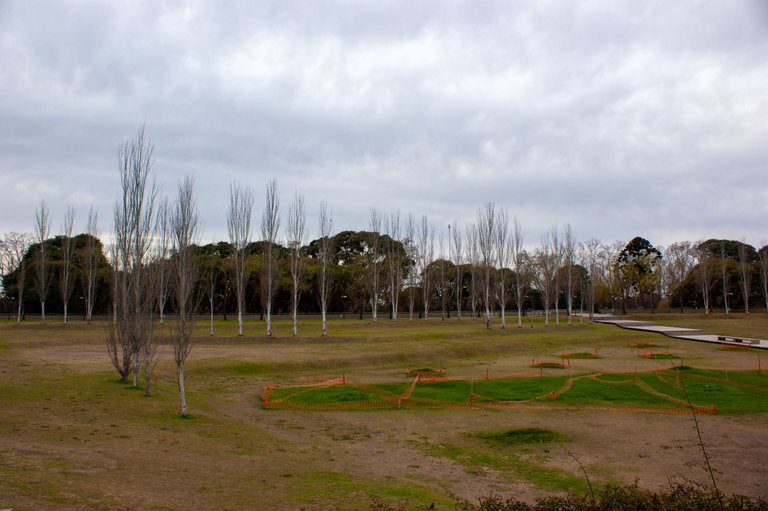 DSC05636.jpg