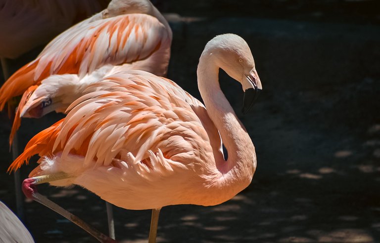 DSC_0771.jpg