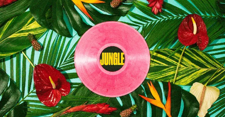 jungle-music-1-1244.webp