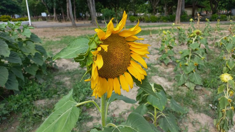 20250625_160040.jpg