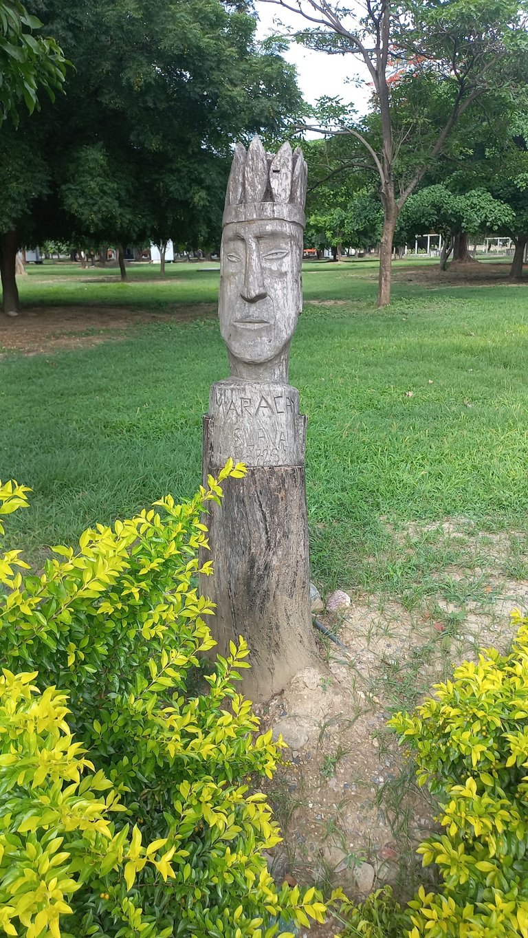 20250625_155555.jpg