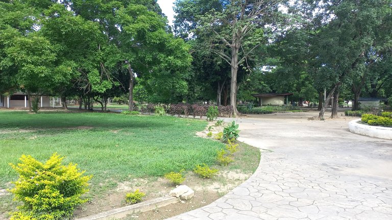 20250625_155618.jpg