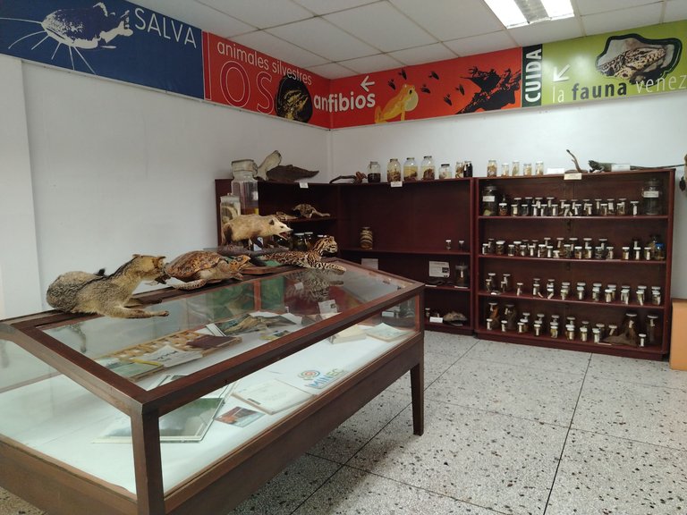 IMG_20250806_120626.jpg