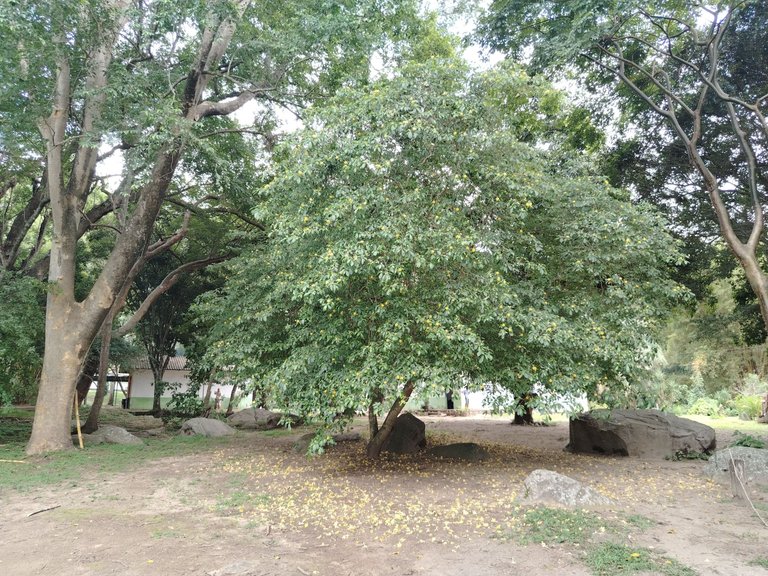 IMG_20250806_121835.jpg