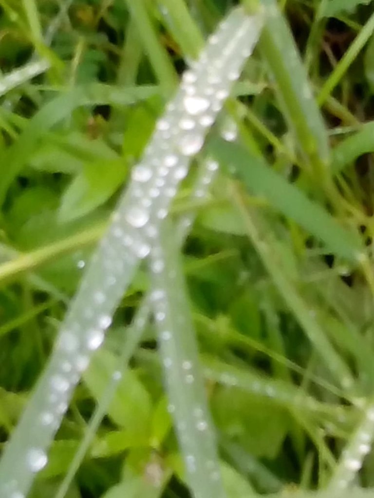 droplets.jpg