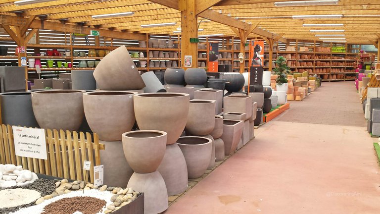 Pots and planters of different shapes and sizes