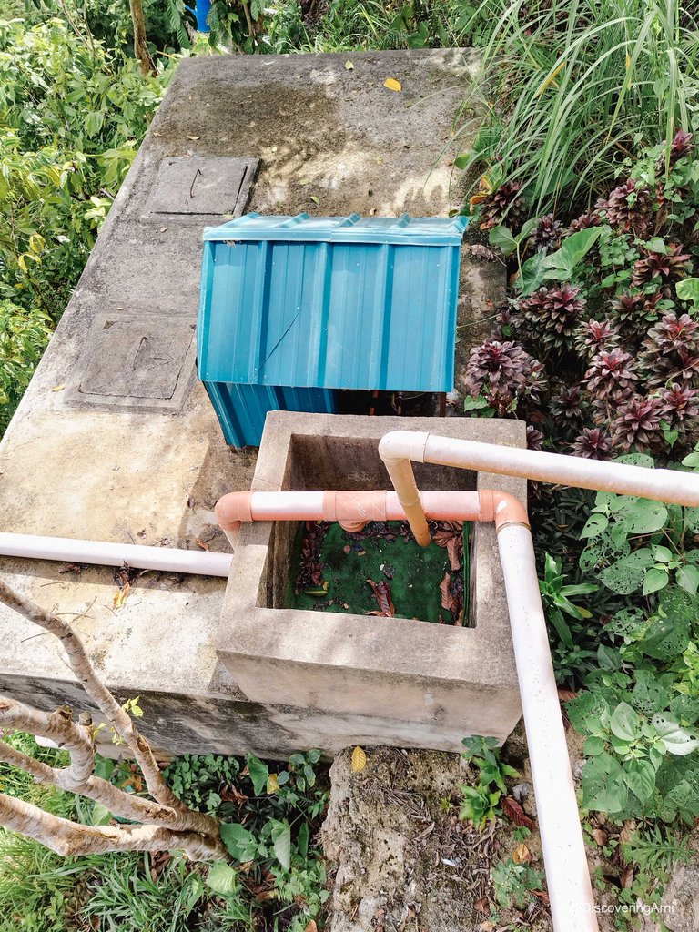 Rainwater Tank with a Natural Filtration System