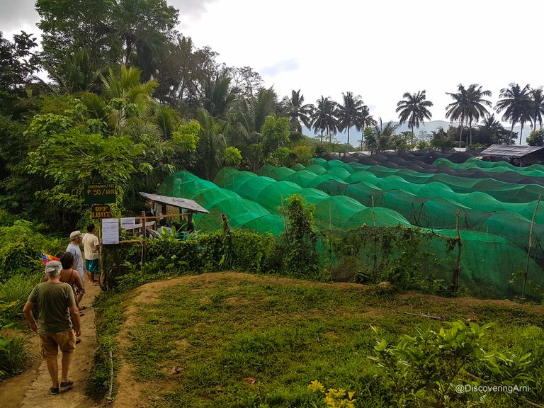 Maloray Sergios Farm Cebu110147.JPG