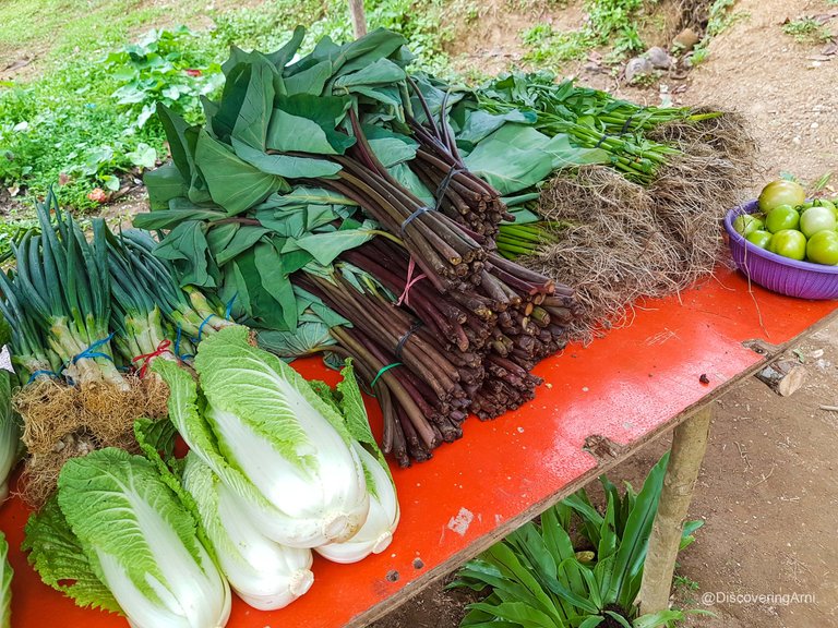 Maloray Sergios Farm Cebu105522.JPG