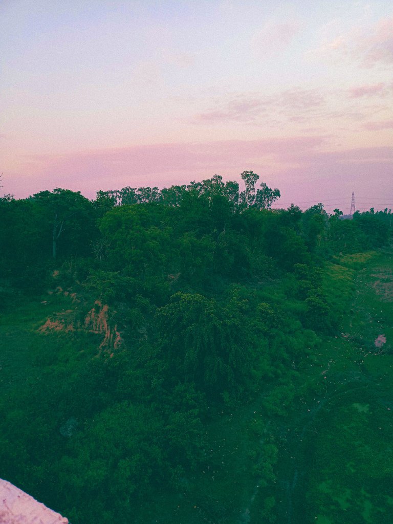 IMG20220524184652.jpg