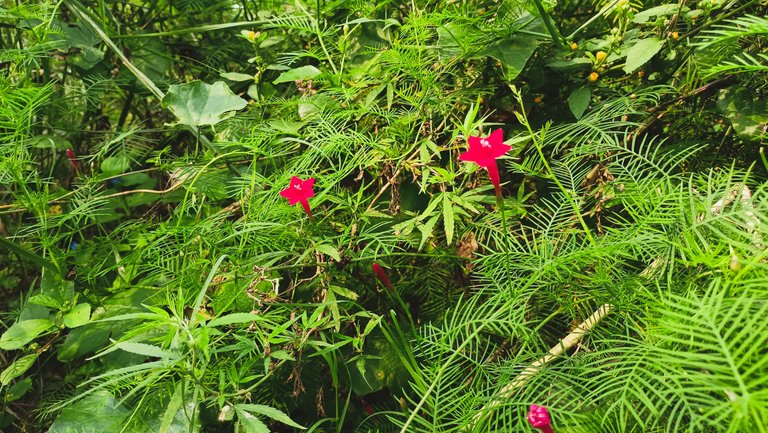 IMG20221019091417.jpg