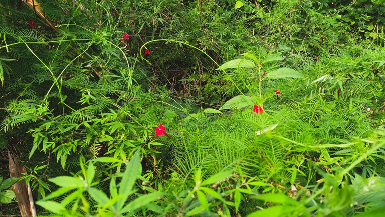 IMG20221019091412.jpg