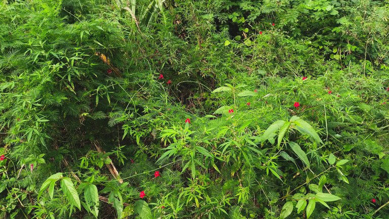 IMG20221019091408.jpg