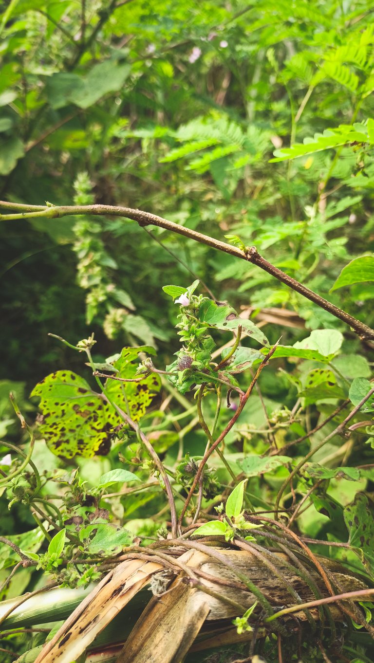 IMG20221019091256.jpg