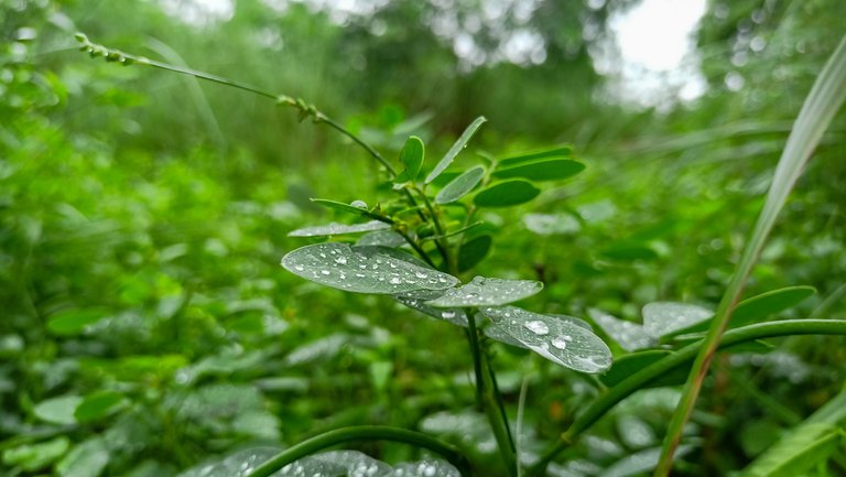 IMG20221006125923.jpg