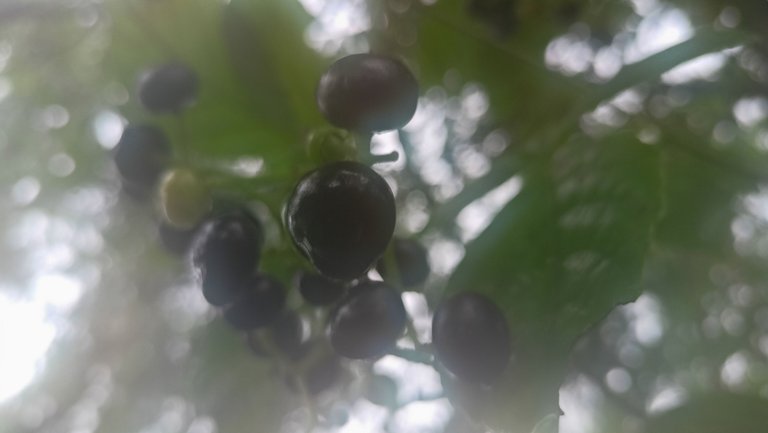 IMG20221006130142.jpg