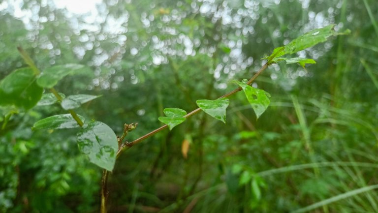 IMG20221006130051.jpg